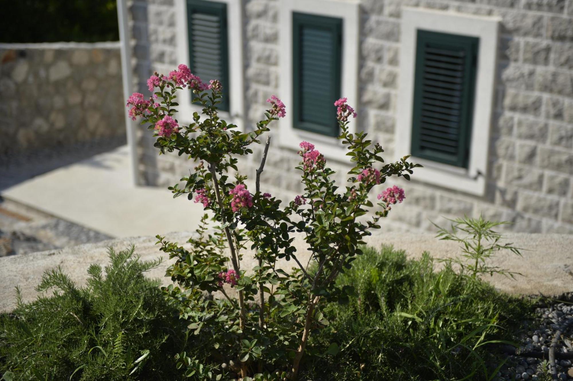 Villa Vista Azzurra Tivat Kültér fotó